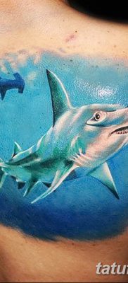 снимка на татуировка акула чук с дата 25.09.2017 г. №033 - татуировка акула чук -