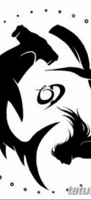 снимка на татуировка акула чук с дата 25.09.2017 г. №038 - татуировка акула чук -