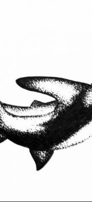 снимка на татуировка акула чук с дата 25.09.2017 г. №043 - татуировка акула чук -