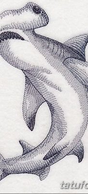 снимка на татуировка акула чук с дата 25.09.2017 г. №069 - татуировка акула чук -