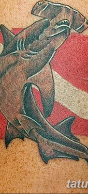 снимка на татуировка акула чук с дата 25.09.2017 г. №072 - татуировка акула чук -