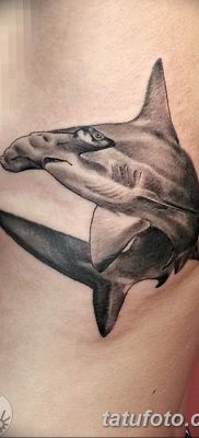 снимка на татуировка акула чук с дата 25.09.2017 г. №079 - татуировка акула чук -