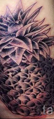 foto-tatu-ananas-dlya-stati-pro-znachenie-tatuirovki-s-ananasom-037-tatufoto-ru