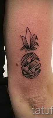 снимка на татуировка с ананас за статия за значението на татуировка с ананас - tatufoto.ru - 11