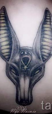 татуировка anubis на гърба - снимка на татуировка за статия за значението на 4