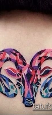 Zdjęcie tatuażu barana - 22052017 - przykład - 006 Tatuaż barana