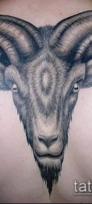 Zdjęcie tatuażu barana - 22052017 - przykład - 007 Tatuaż barana