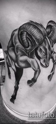 Zdjęcie tatuażu barana - 22052017 - przykład - 008 Tatuaż barana