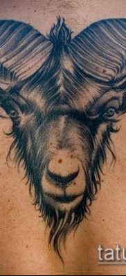Zdjęcie tatuażu barana - 22052017 - przykład - 011 Tatuaż barana