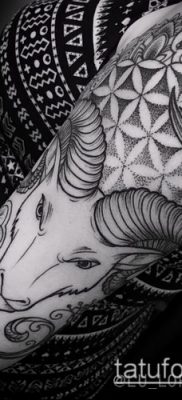 Zdjęcie tatuażu barana - 22052017 - przykład - 015 Tatuaż barana