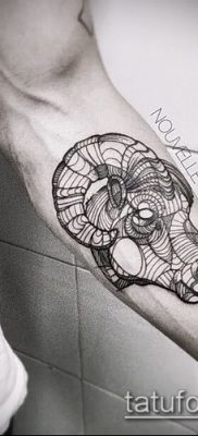 Zdjęcie tatuażu barana - 22052017 - przykład - 018 Tatuaż barana