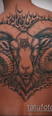 Zdjęcie tatuażu barana - 22052017 - przykład - 024 Tatuaż barana
