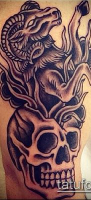 Zdjęcie tatuażu barana - 22052017 - przykład - 027 Tatuaż barana