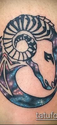 Zdjęcie tatuażu barana - 22052017 - przykład - 036 Tatuaż barana