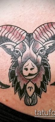 Zdjęcie tatuażu barana - 22052017 - przykład - 038 Tatuaż barana