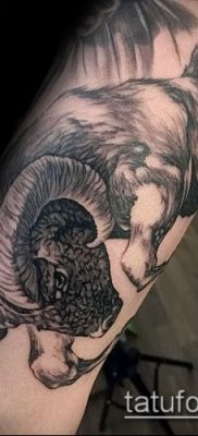 Zdjęcie tatuażu barana - 22052017 - przykład - 046 Tatuaż barana