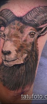 Zdjęcie tatuażu barana - 22052017 - przykład - 048 Tatuaż barana