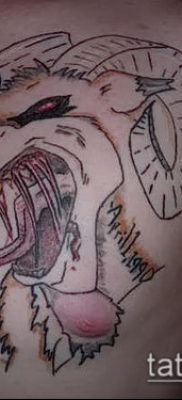 Zdjęcie tatuażu barana - 22052017 - przykład - 050 Tatuaż barana