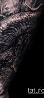 Zdjęcie tatuażu barana - 22052017 - przykład - 052 Tatuaż barana