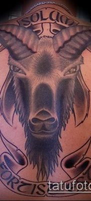 Zdjęcie tatuażu barana - 22052017 - przykład - 053 Tatuaż barana