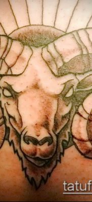 Zdjęcie tatuażu barana - 22052017 - przykład - 054 Tatuaż barana