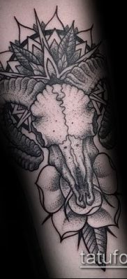 Zdjęcie tatuażu barana - 22052017 - przykład - 059 Tatuaż barana