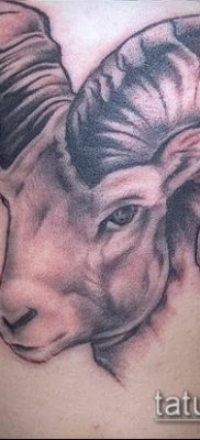 Zdjęcie tatuażu barana - 22052017 - przykład - 060 Tatuaż barana