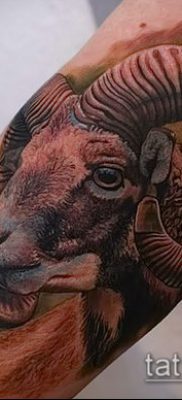 Zdjęcie tatuażu barana - 22052017 - przykład - 061 Tatuaż barana