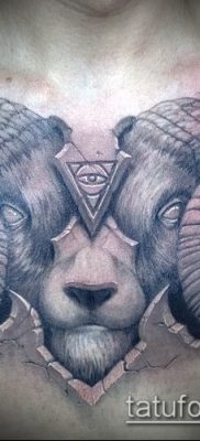 Zdjęcie tatuażu barana - 22052017 - przykład - 065 Tatuaż barana