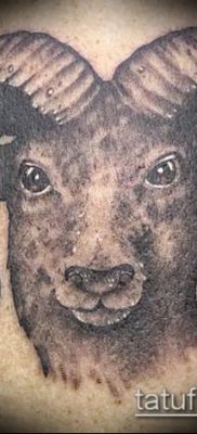 Zdjęcie tatuażu barana - 22052017 - przykład - 066 Tatuaż barana