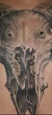 Zdjęcie tatuażu barana - 22052017 - przykład - 067 Tatuaż barana