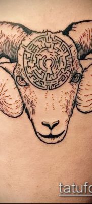 Zdjęcie tatuażu barana - 22052017 - przykład - 069 Tatuaż barana