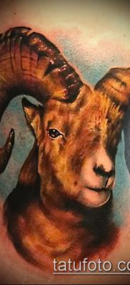 Zdjęcie tatuażu barana - 22052017 - przykład - 071 Tatuaż barana