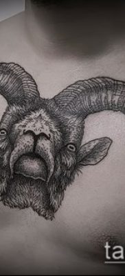 Zdjęcie tatuażu barana - 22052017 - przykład - 072 Tatuaż barana