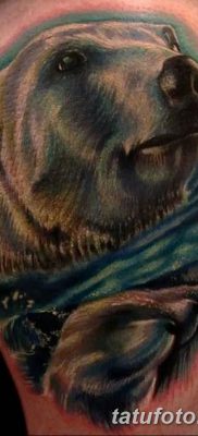 fotó egy jegesmedve tetoválásról, dátum: 2017.12.03. №128 - fehér medve tetoválás -