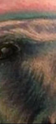 fotó egy jegesmedve tetoválásról, dátum: 2017.12.03. №129 - fehér medve tetoválás -