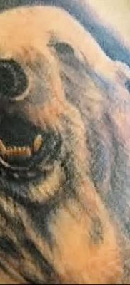 fotó egy jegesmedve tetoválásról, kelt 2017.12.03. №132 - fehér medve tetoválás -