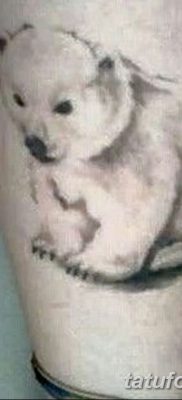 fotó egy jegesmedve tetoválásról, dátum: 2017.12.03., 00001 - fehér medve tetoválás -