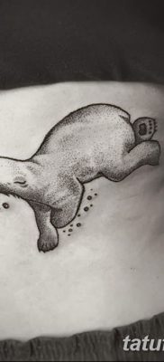 fotó egy jegesmedve tetoválásról, dátum: 2017.12.03., №016 - fehér medve tetoválás -