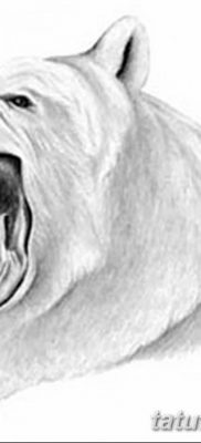 fotó egy jegesmedve tetoválásról, dátum: 2017.12.03., 044 - fehér medve tetoválás -