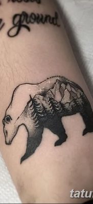 fotó egy jegesmedve tetoválásról, dátum: 2017.12.03 №047 - fehér medve tetoválás -