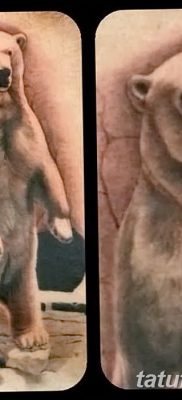 fotó egy jegesmedve tetoválásról, dátum: 2017.12.03. №048 - fehér medve tetoválás -