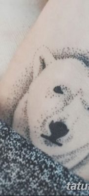fotó egy jegesmedve tetoválásról, dátum: 2017.12.03. №056 - fehér medve tetoválás -
