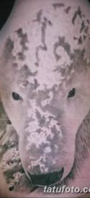 fotó egy jegesmedve tetoválásról, dátum: 2017.12.03. №061 - fehér medve tetoválás -