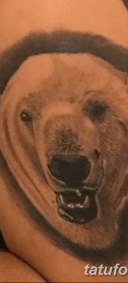 fotó egy jegesmedve tetoválásról, dátum: 2017.12.03., №063 - fehér medve tetoválás -