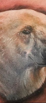 fotó egy jegesmedve tetoválásról, dátum: 2017.12.03., №071 - fehér medve tetoválás -