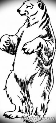 fotó egy jegesmedve tetoválásról, dátum: 2017.12.03., №078 - fehér medve tetoválás -