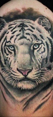 Fotó egy fehér tigris tetoválásról 2019.07.28. №014 - fehér tigris tetoválás -