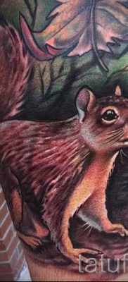 fotó a mókus tetoválásról egy cikkhez a mókusos tetoválás jelentéséről - tatufoto.ru - 69