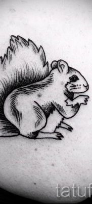 fotó a mókus tetoválásról egy cikkhez a mókusos tetoválás jelentéséről - tatufoto.ru - 68